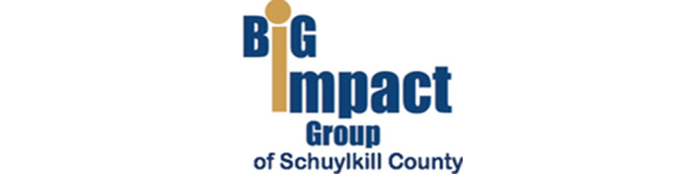 big impact group schuylkill united way partner agency