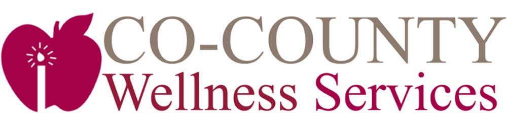 schuylkill co-county wellness services schuylkill united way partner agency